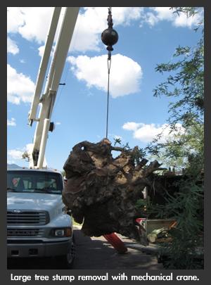 Large stump removal, using mechanical crane.