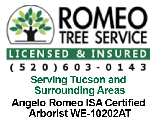 Romeo Tree Service