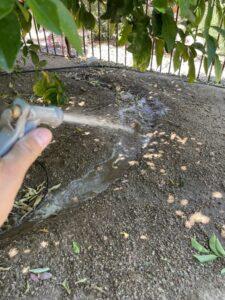 Using water pressure to form a doughnut watering basin. 