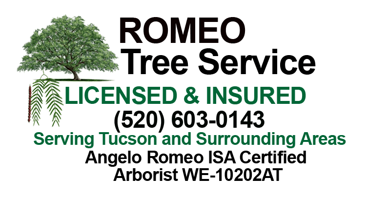 Romeo Tree Service