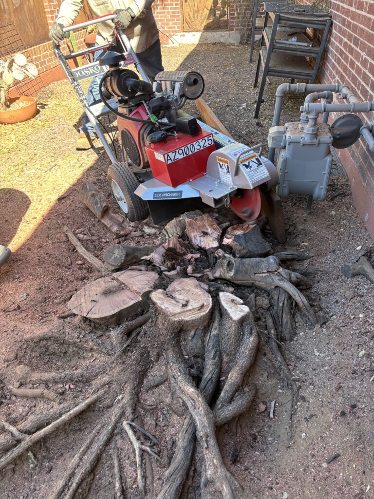 Tucson stump Grinding