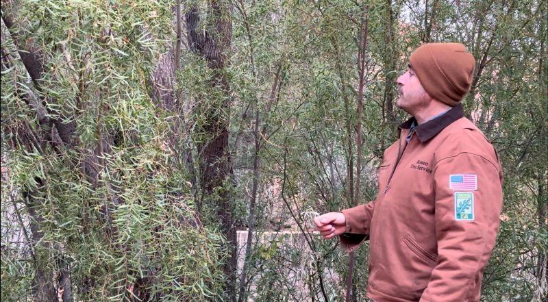 ISA Certified Arborist, Angelo Romeo, teaching the Tucson Tree Care Workshop